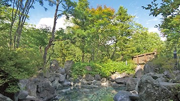 A natural landscape with a clear stream, rocks, and trees.