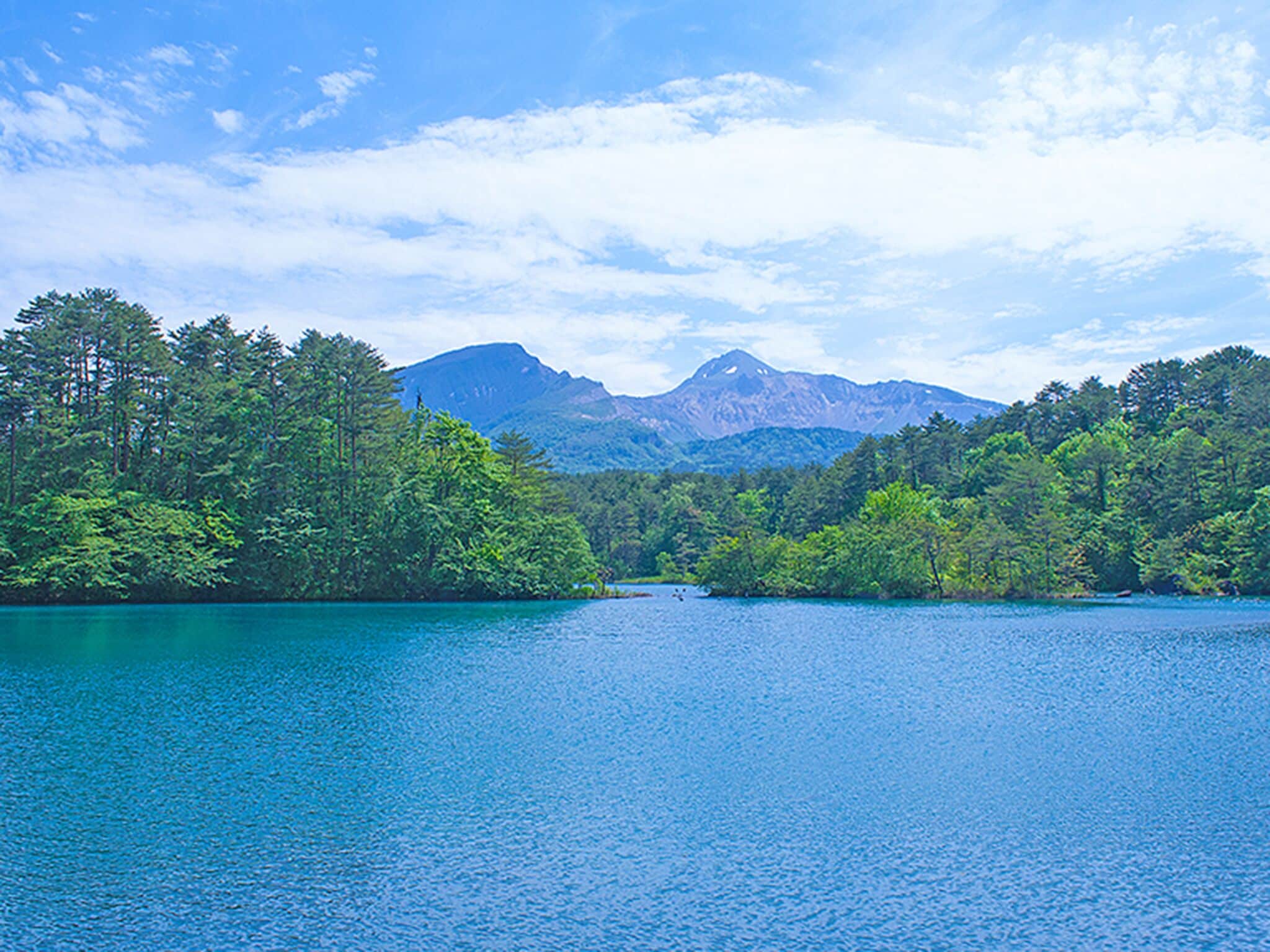 A lake surrounded by dense forest and mountains in the background.