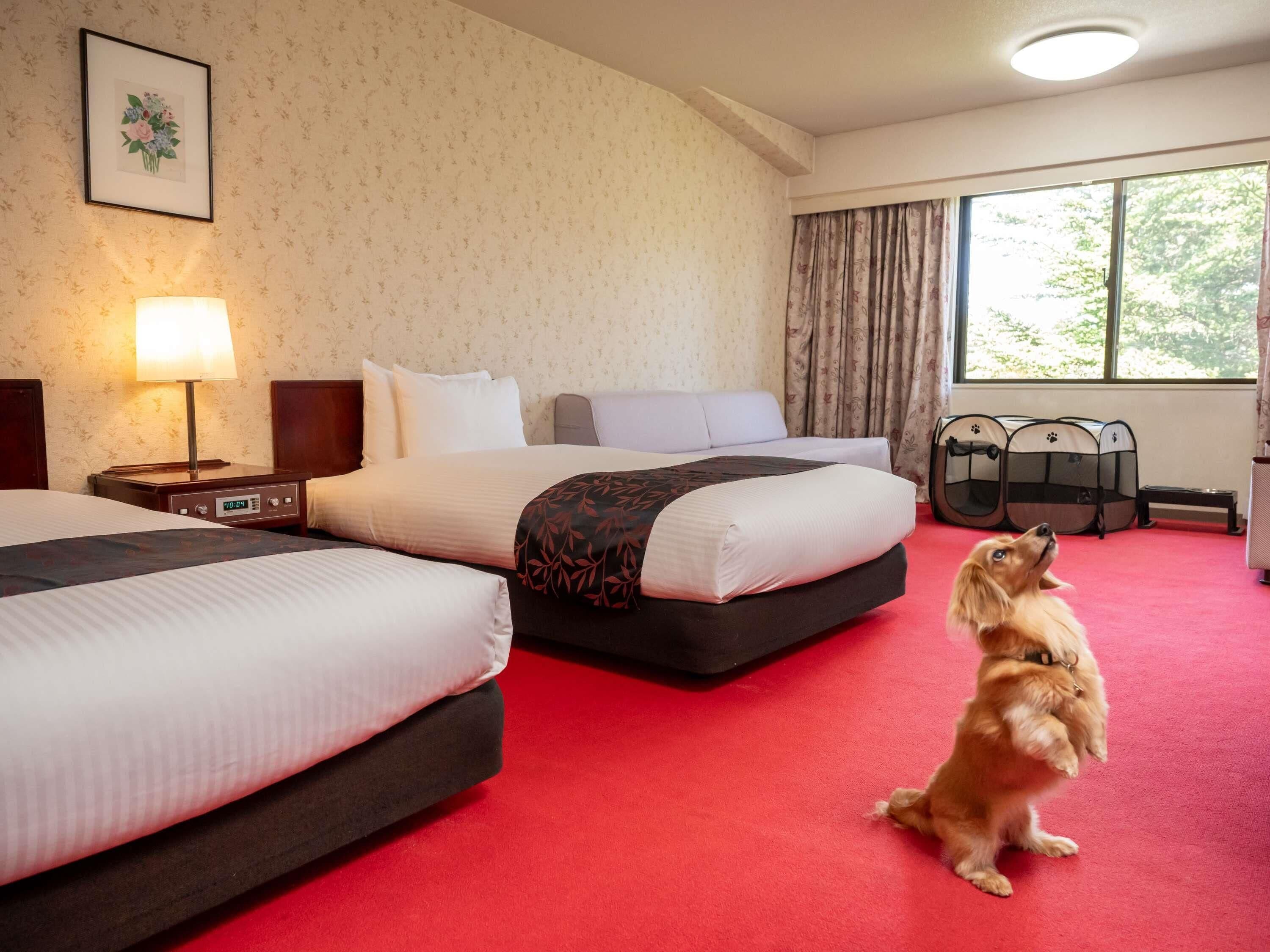 Classic Room with 2 single beds and 1 sofa bed, Dog-friendly | Down comforters, in-room safe, desk, soundproofing