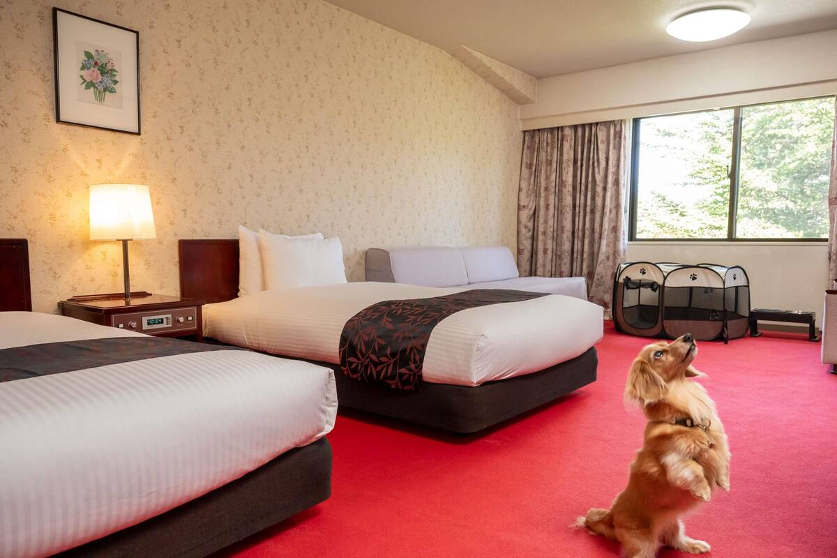 A hotel room with two beds, a red carpet, a lamp, a clock, a pet bed, and a window with curtains.