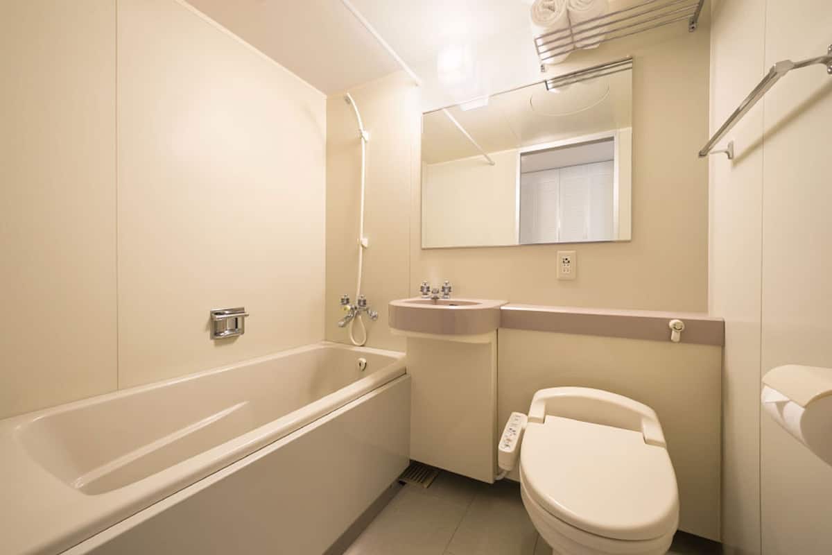 combined shower/bathtub, free toiletries, hair dryer, slippers