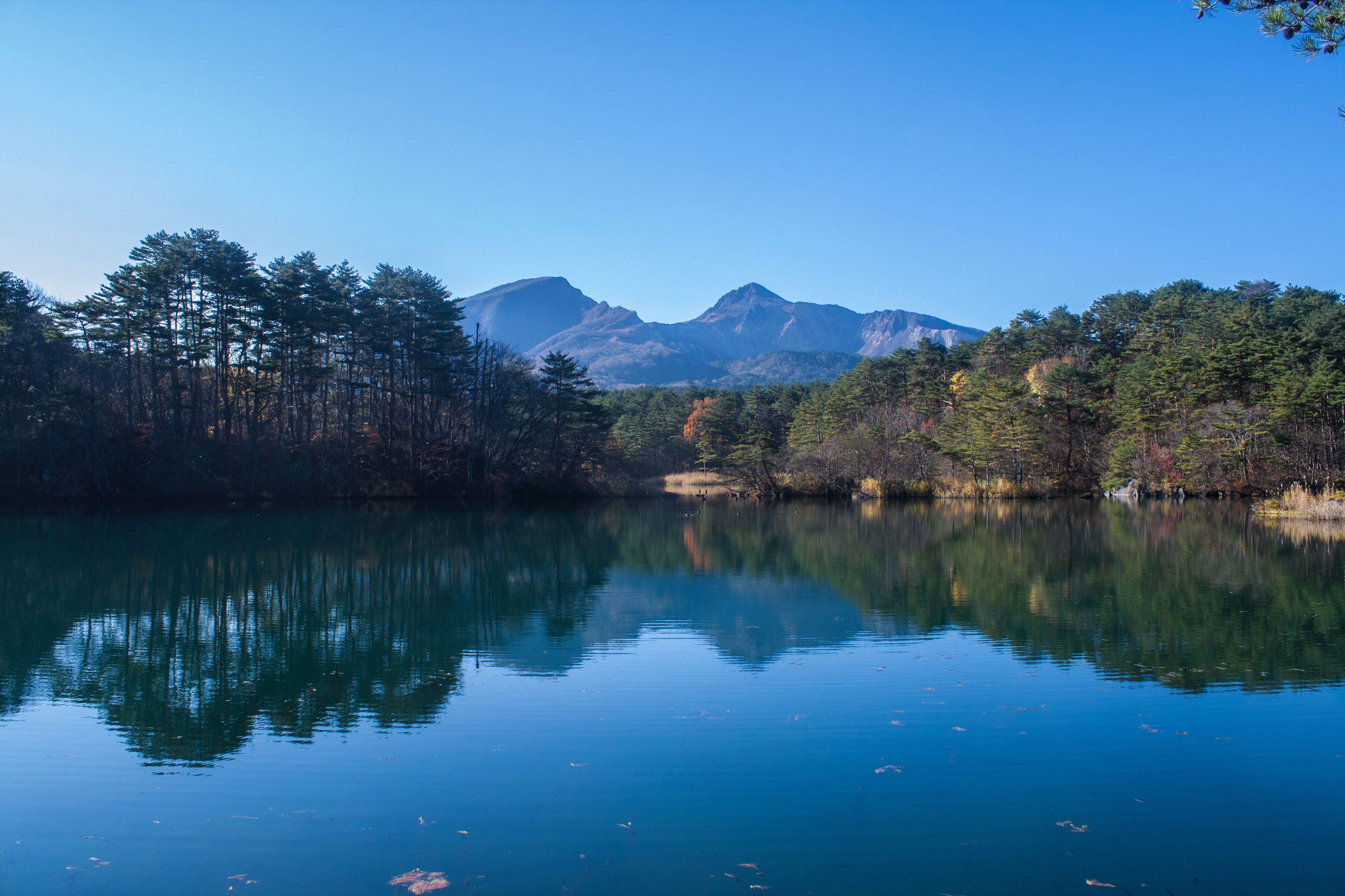 A calm lake with reflections of trees and mountains.