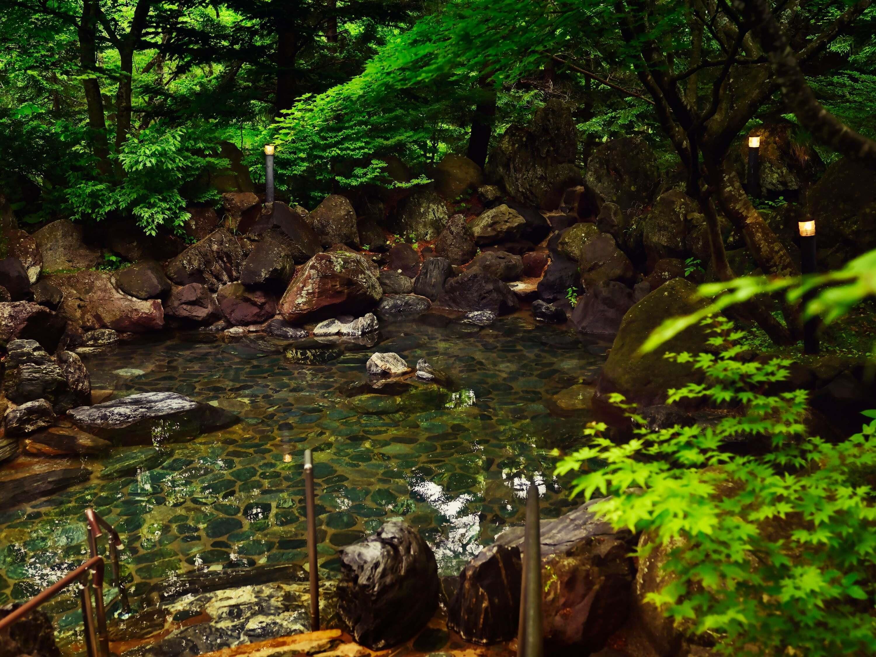 Un ruisseau paisible, aux eaux limpides, serpentant à travers une forêt, bordé de rochers et d’une végétation luxuriante.