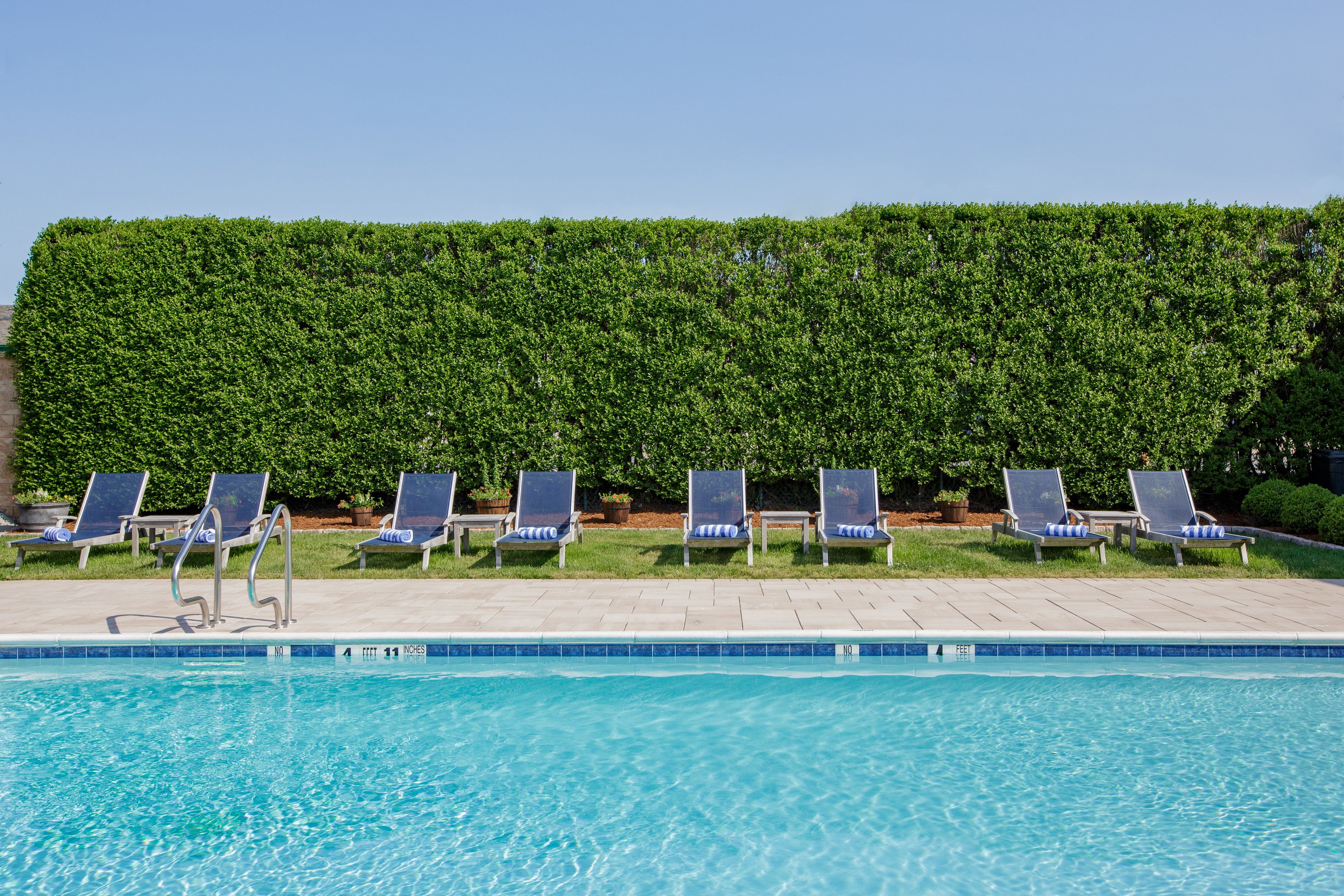 A swimming pool with lounge chairs and a hedge in the background.