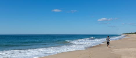 Perto da praia, espreguiçadeiras, guarda-sóis, toalhas de praia 