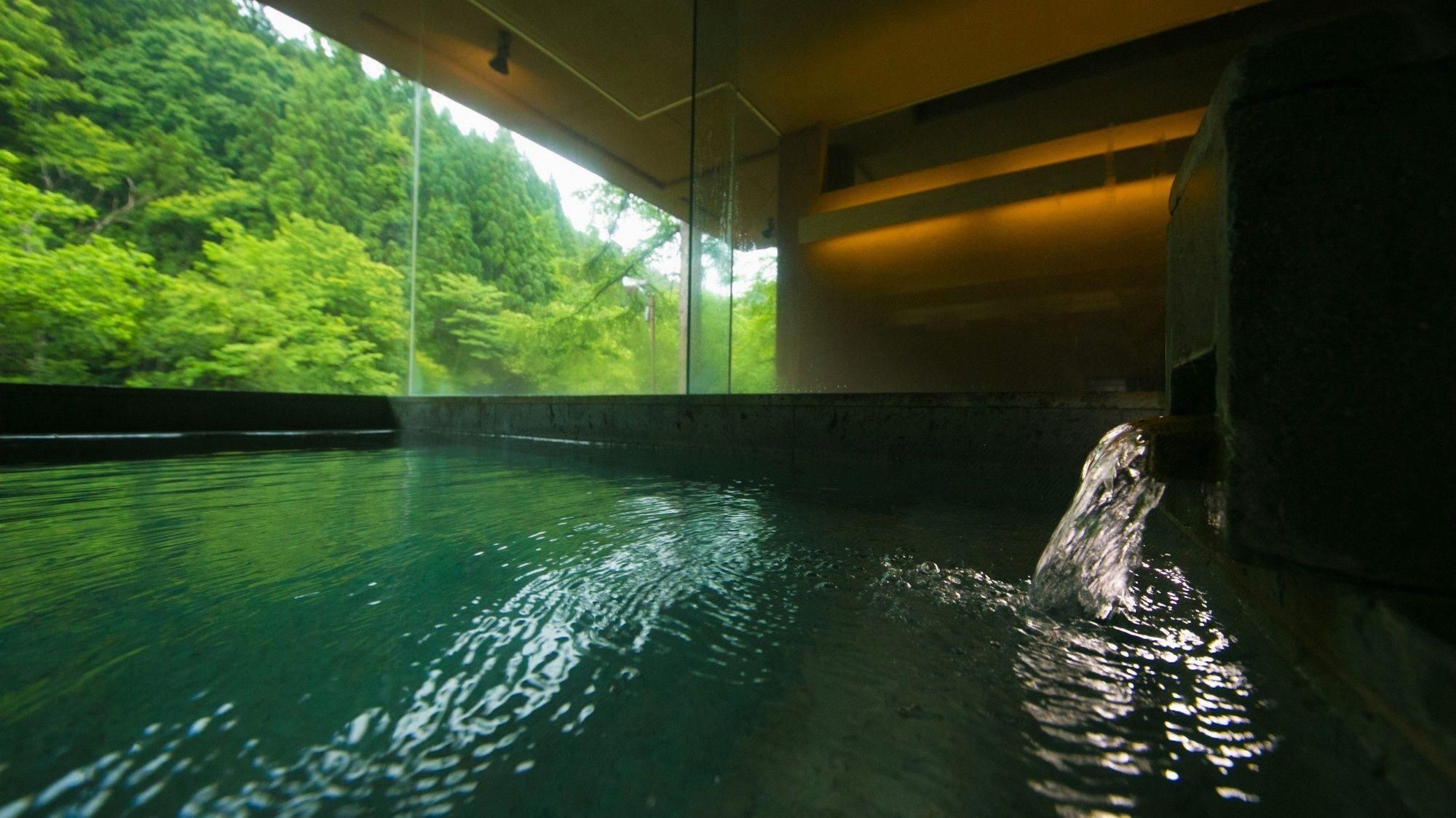 A pool with clear water, surrounded by a glass wall, and a view of green trees outside.