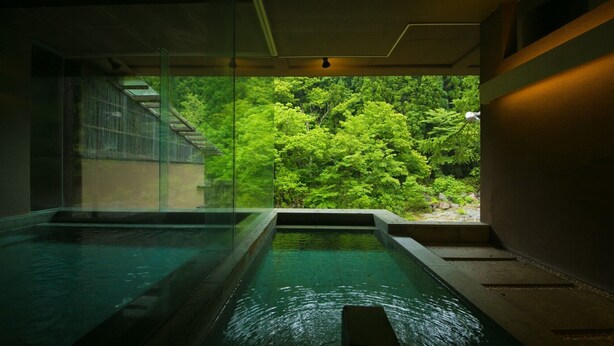 Ein moderner, überdachter Pool mit großen Glaswänden, der einen Blick auf üppiges Grün bietet.
