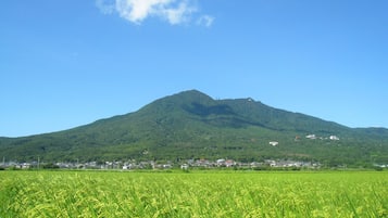 Ein Berg mit einem Dorf am Fuße, umgeben von einer grünen Wiese.