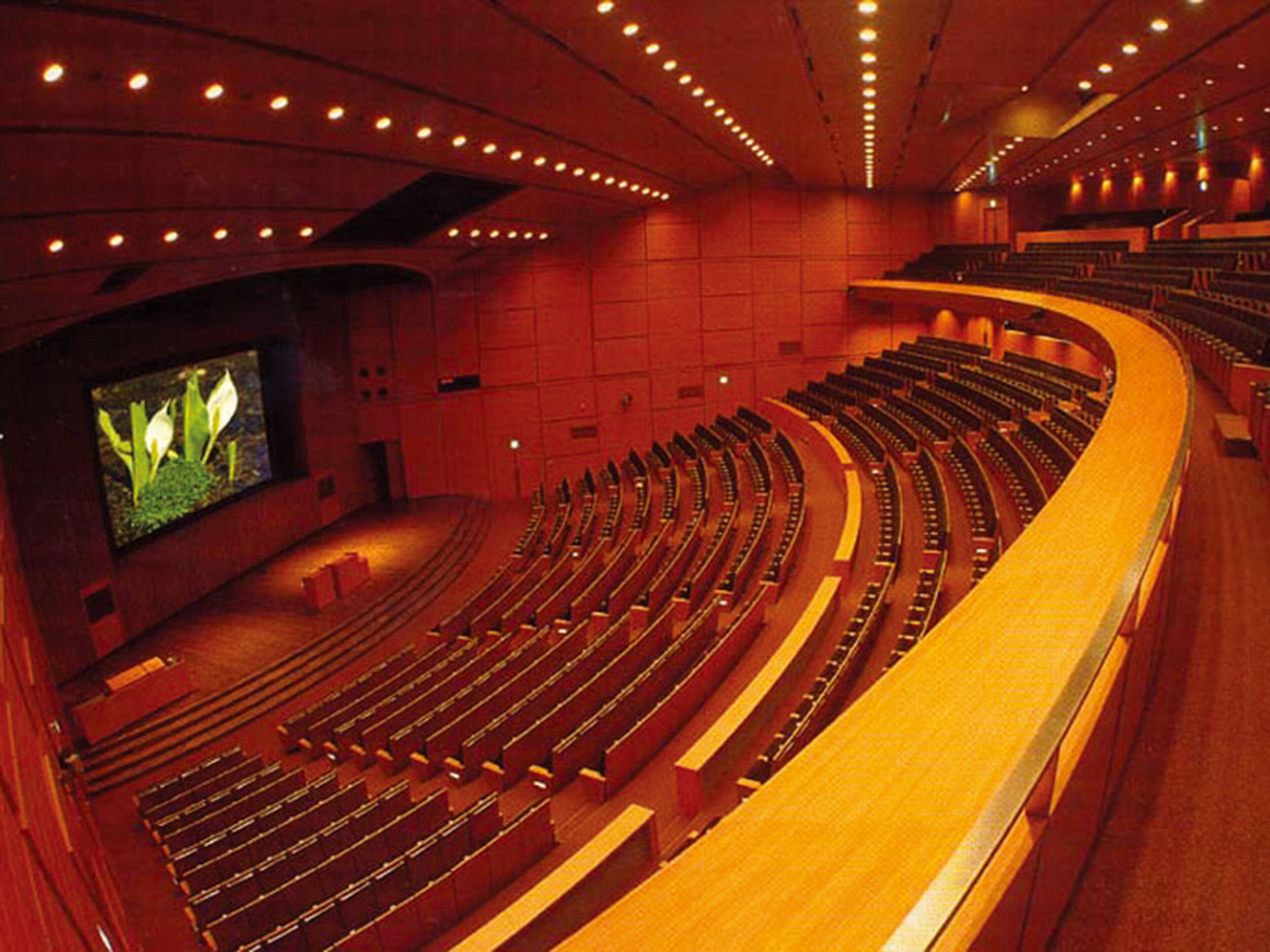 Een groot, gebogen auditorium met trappen en een groot scherm aan de zijkant.