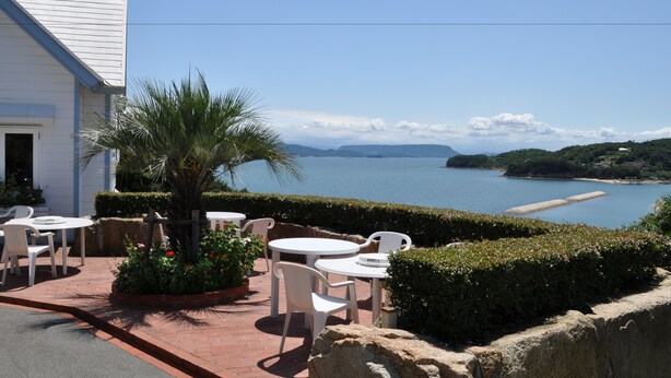 A patio with white tables and chairs, a palm tree, and a view of the sea. - Country Inn The White Marine (Tonosho)