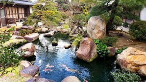 A koi pond surrounded by rocks and plants, with a traditional building in the background. - Saginoyusou (Yasugi)