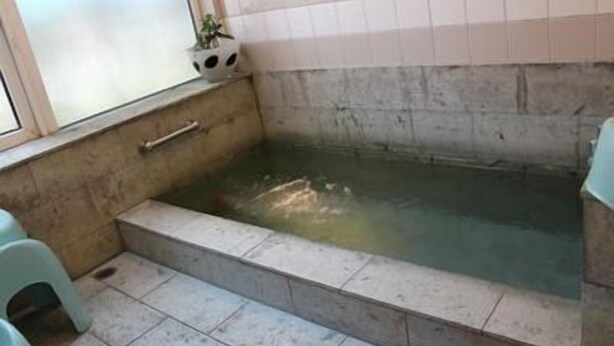Une salle de bain avec une baignoire, une fenêtre et une plante en pot.