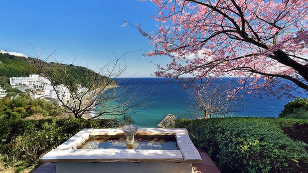 A hot tub with a view of the sea and a cherry blossom tree. - Atagawa Onsen Suiko (Higashiizu)