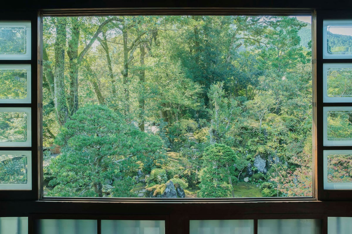 A window with a view of a dense forest.