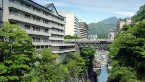 外觀