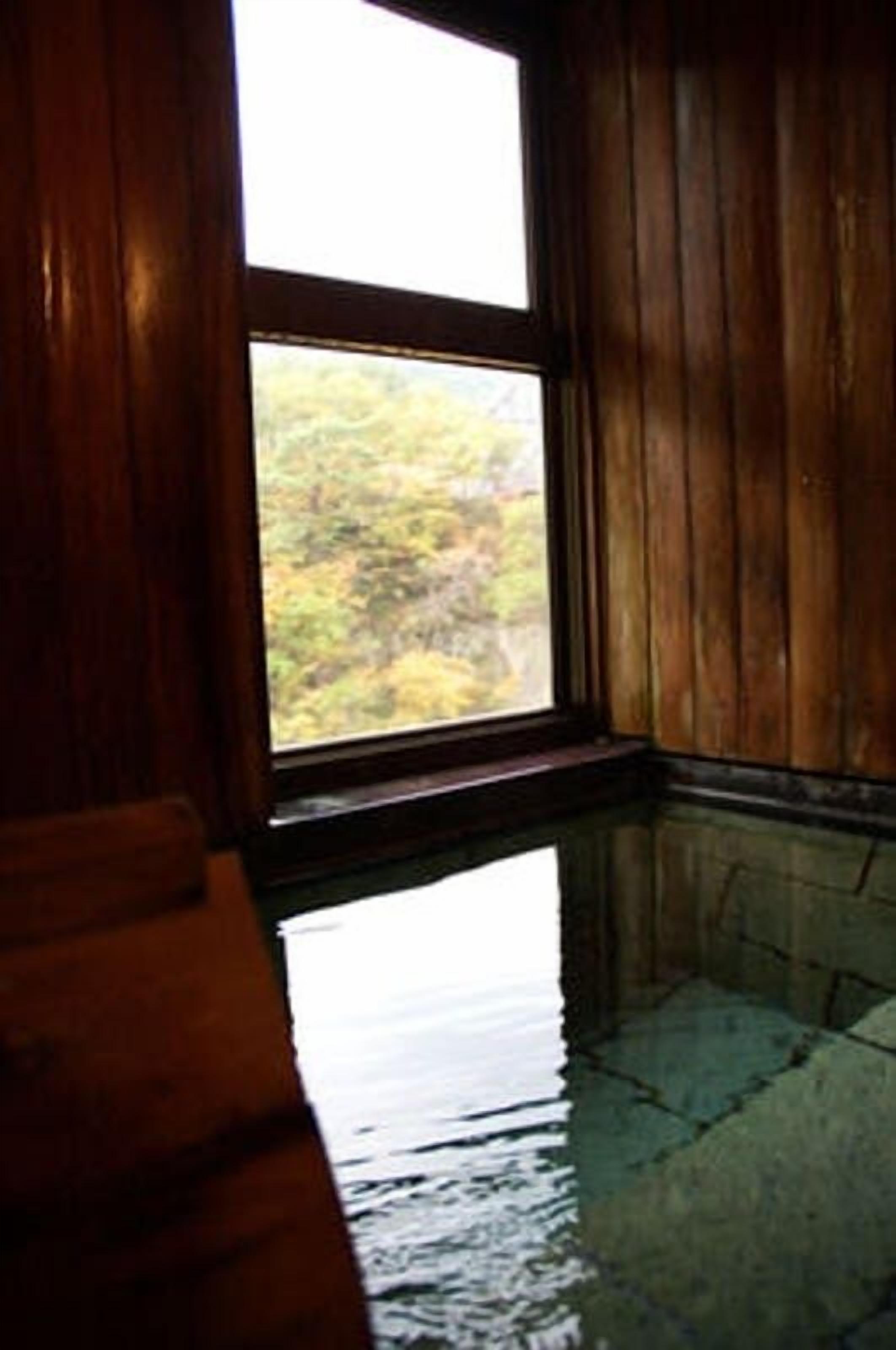 A room with a wooden interior, a large window, and a reflection of trees on the floor.
