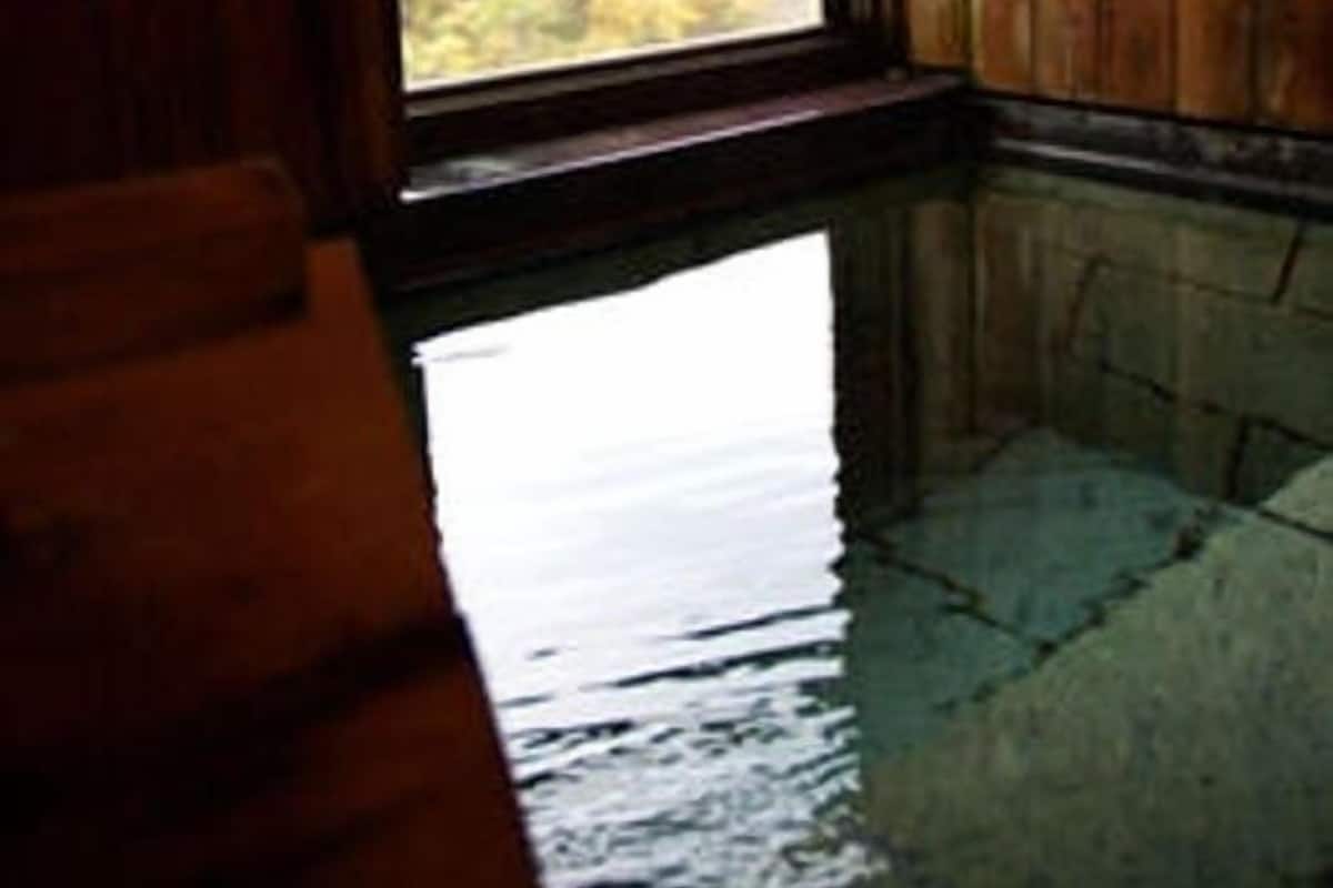 A room with a wooden interior, a large window, and a reflection of trees on the floor.