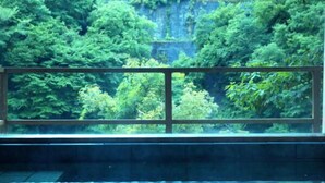 Une piscine donnant sur une végétation luxuriante et un mur de pierre.