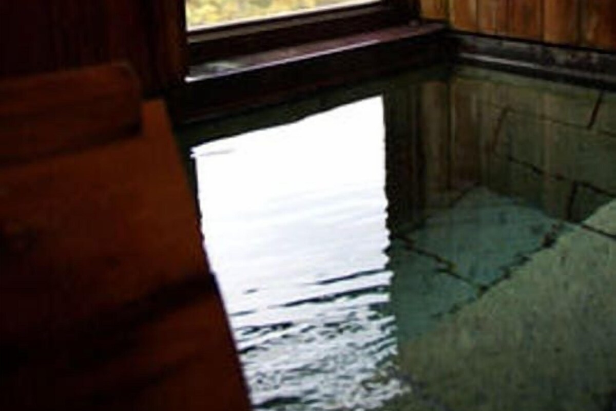A room with a wooden interior, a large window, and a reflection of trees on the floor.
