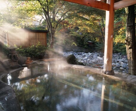 Aguas termales