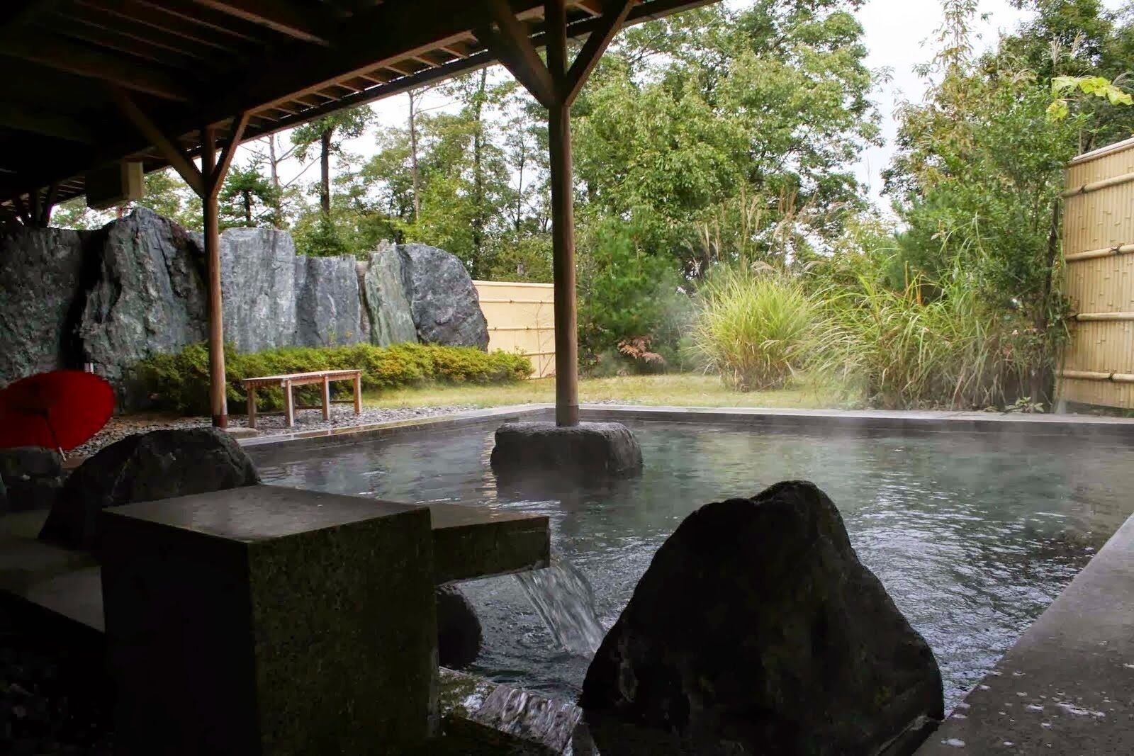 Wellness