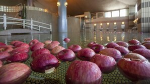 Sports facility - Hot Spring Minamida Spa Hotel Apple Land (Hirakawa)