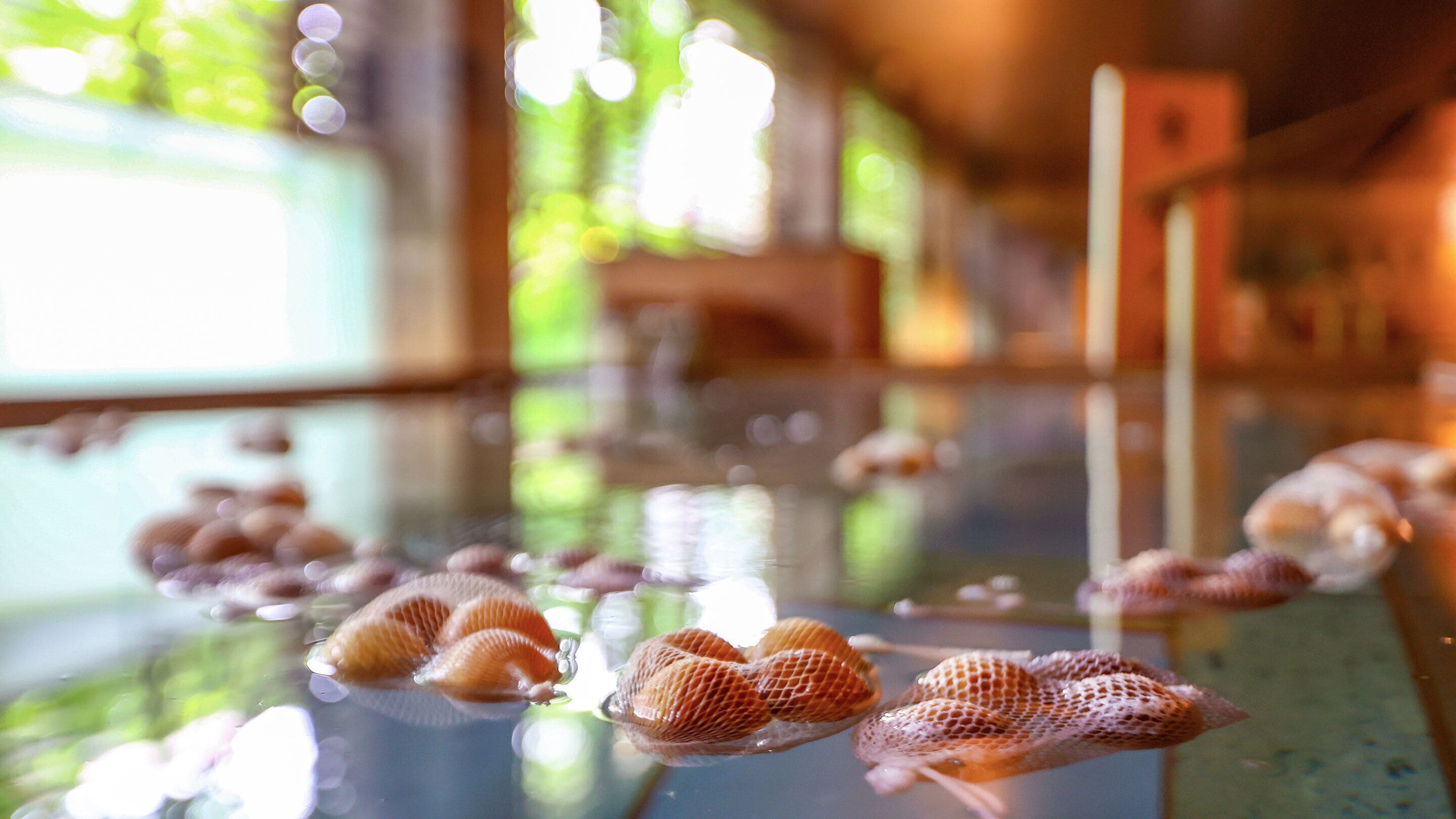 A long, reflective pool with several shells floating on the water's surface.