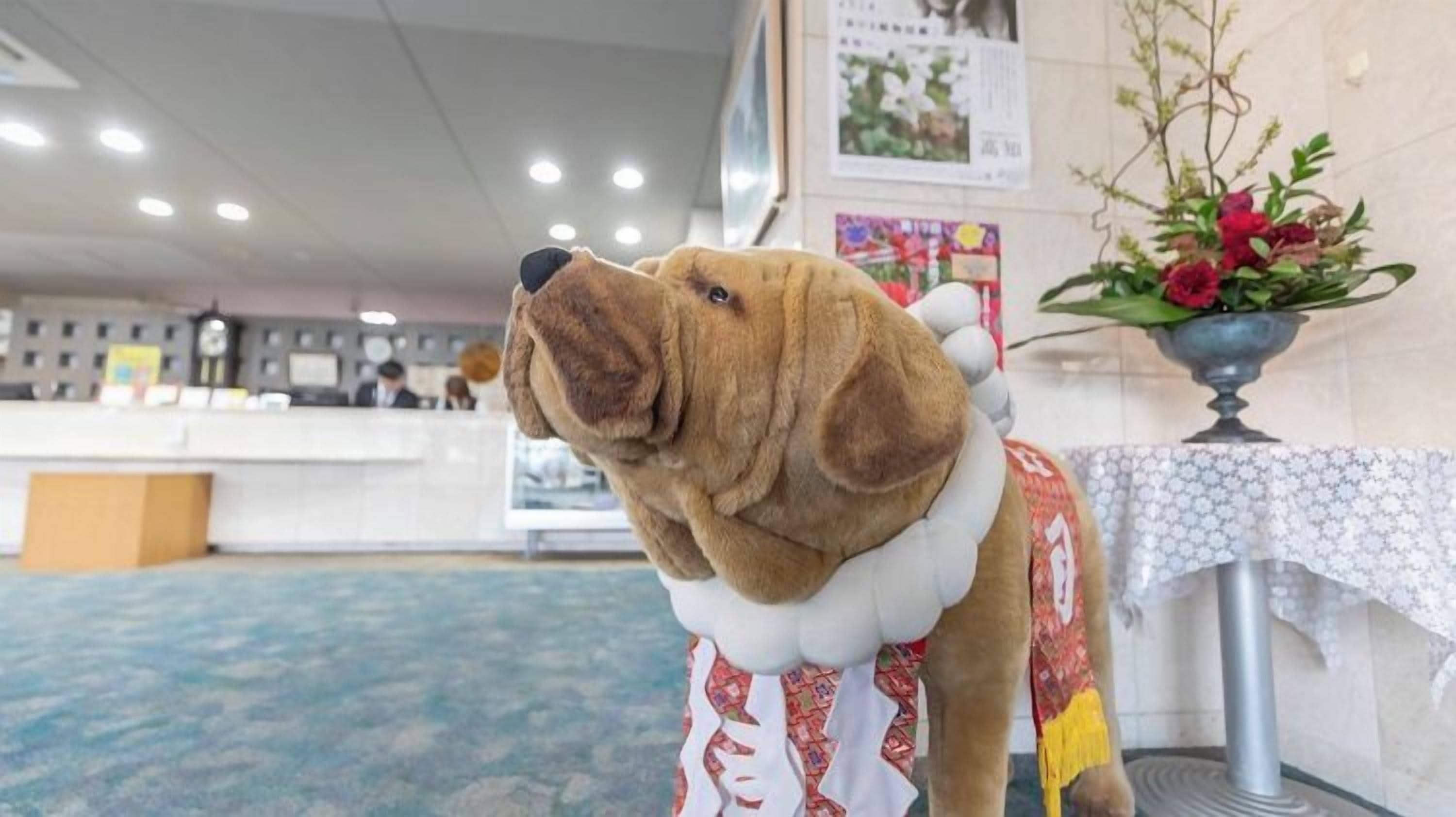 A dog in a room with a reception desk, a patterned carpet, and a table with a vase of flowers.