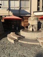 Land view from property