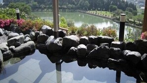 A tranquil outdoor pool with a view of a lake and mountains. - Tatsuno Park Hotel (Tatsuno)