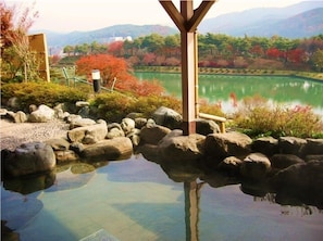Spa - Tatsuno Park Hotel (Tatsuno)