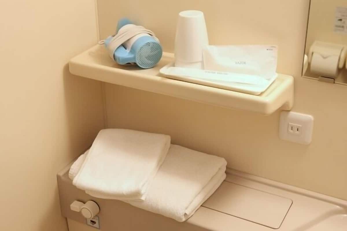 combined shower/bathtub, free toiletries, dressing gowns, bidet