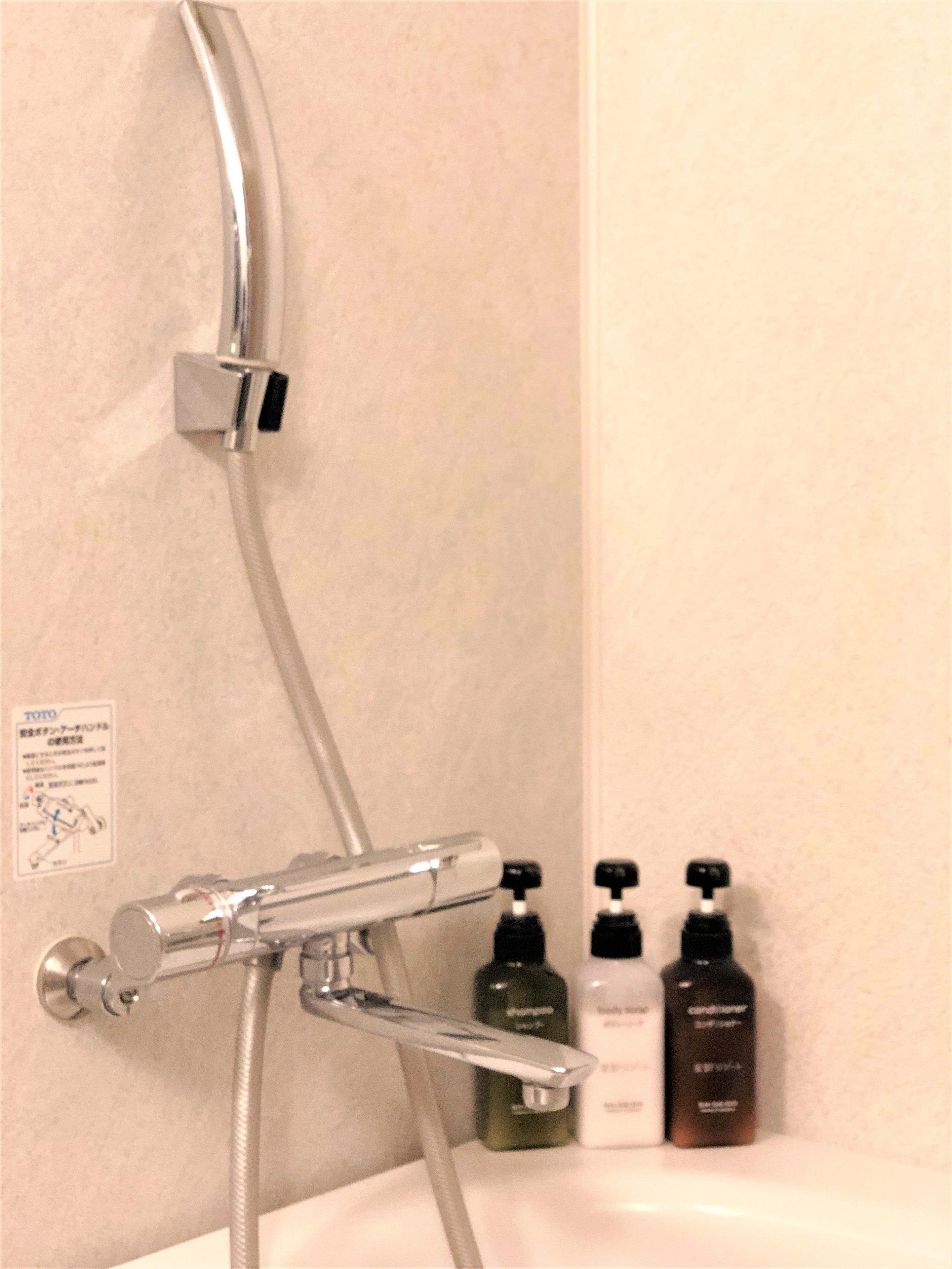 separate bathtub and shower, free toiletries, hair dryer, bidet