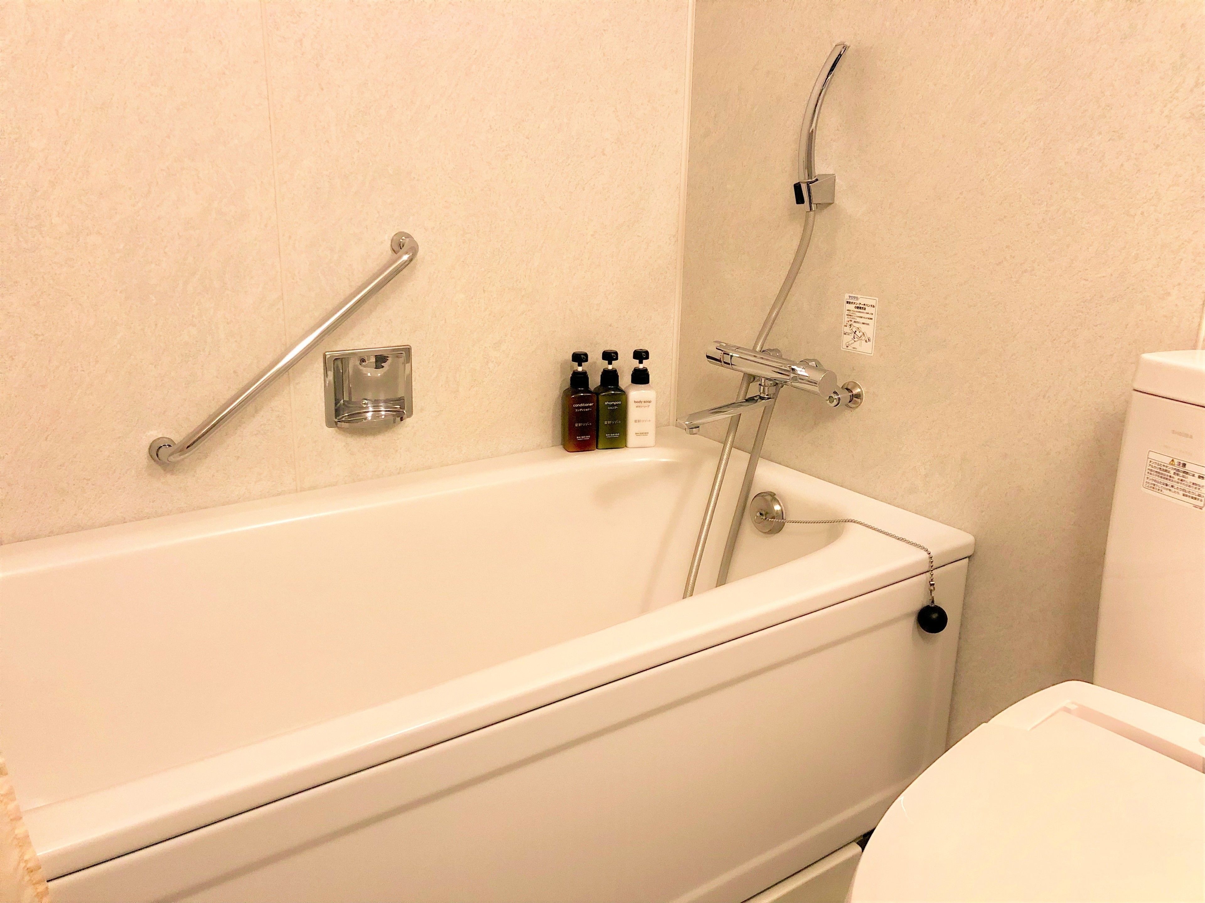 separate bathtub and shower, free toiletries, hair dryer, bidet