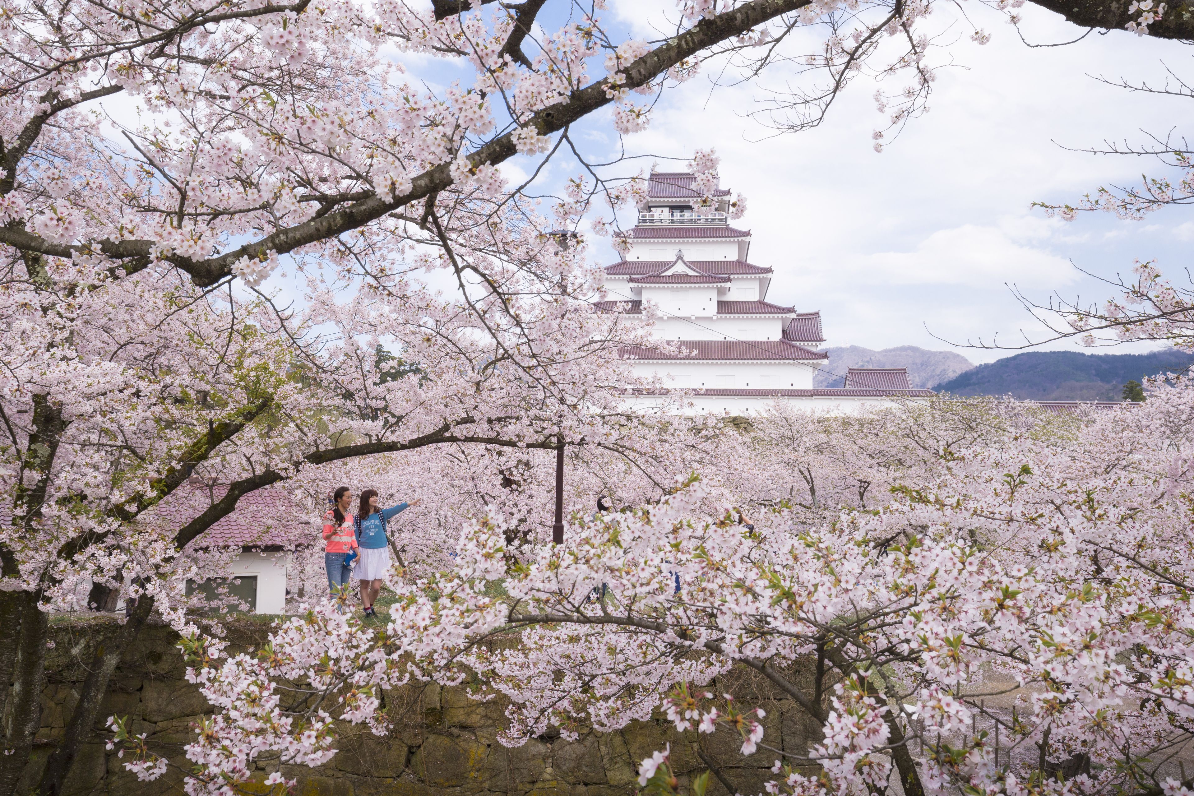 land view from property