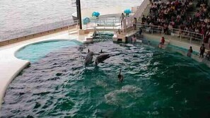 Pool - Hotel SKY Heart Shimonoseki (Shimonoseki)