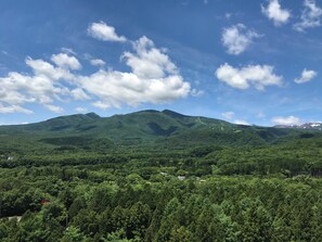 Un paisaje montañoso con un bosque denso y un cielo despejado.