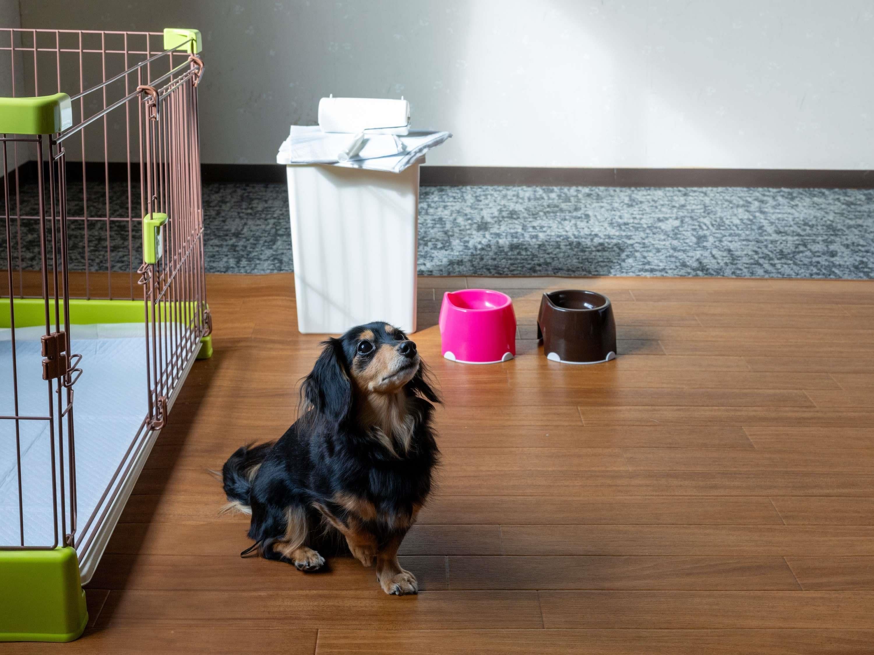 A dog inside a cage with a white trash bin and two food bowls in the background.