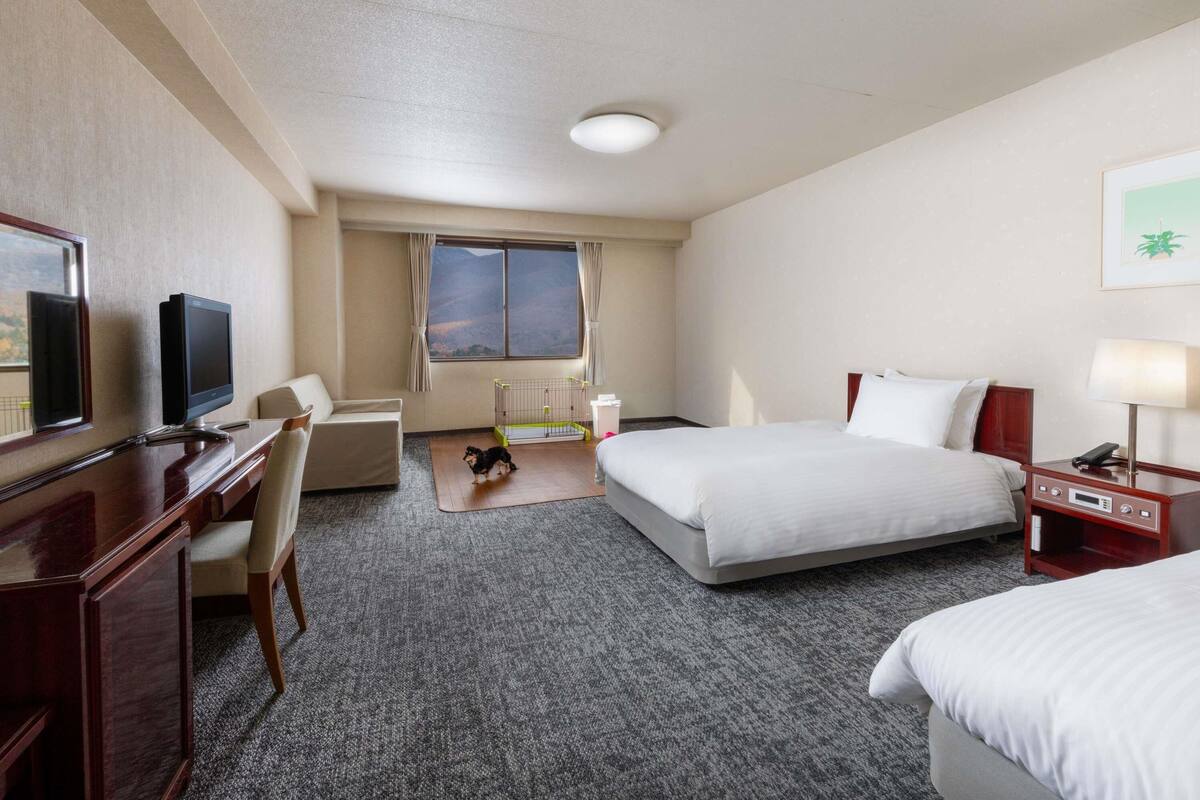 Habitación de hotel con cama, escritorio con silla, televisión, ventana con cortinas y una jaula para perro pequeña.