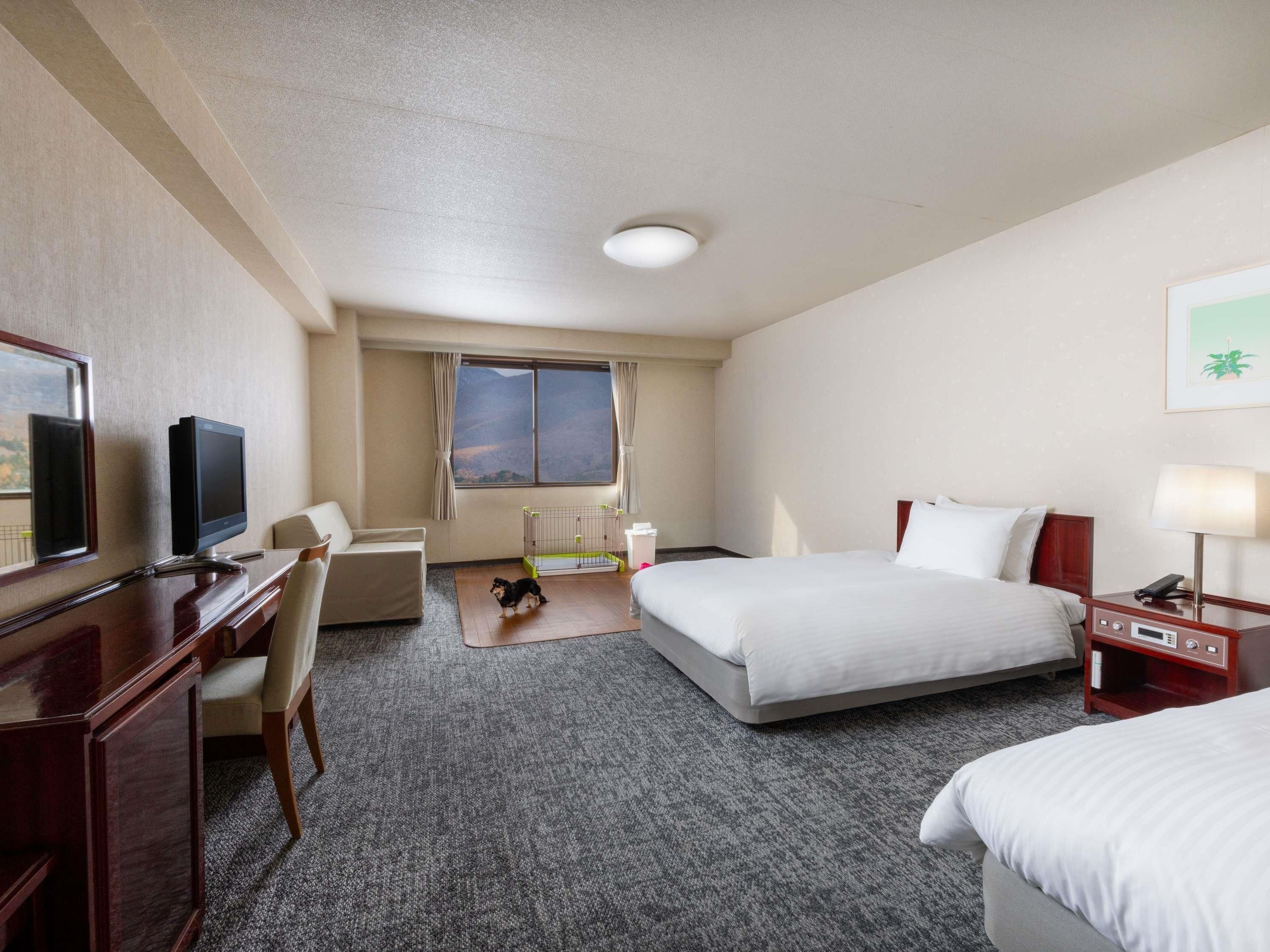 A hotel room with a bed, a desk with a chair, a television, a window with curtains, and a small dog crate.
