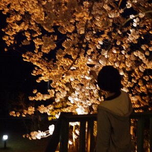 Àrea exterior de l'allotjament