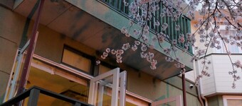 Izukogen Pettit Resort Hotel Alcyon