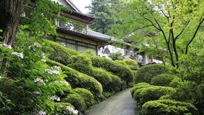 정원