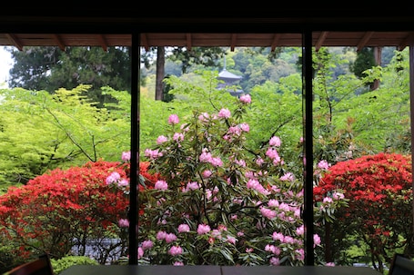 Breakfast, lunch, dinner served; vegetarian cuisine, garden views