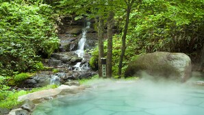 Un manantial de aguas termales rodeado de abundante vegetación y una pequeña cascada.