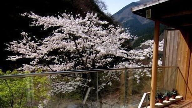 Unclassified image, 1 of 82, button - Shingenkan (Yamakita)