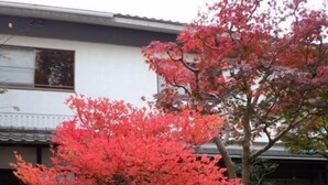 施設の敷地