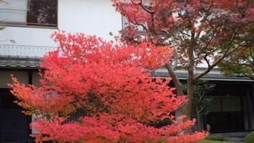 Àrea exterior de l'allotjament