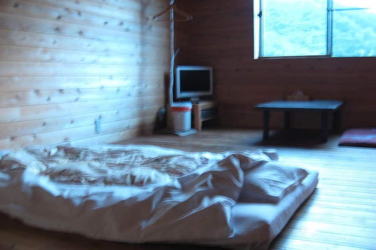 A room with a bed, a television, a small table, and a window.