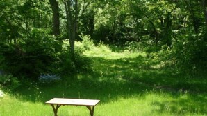 Ein Picknicktisch in einer von Bäumen umgebenen, grünen Wiese.